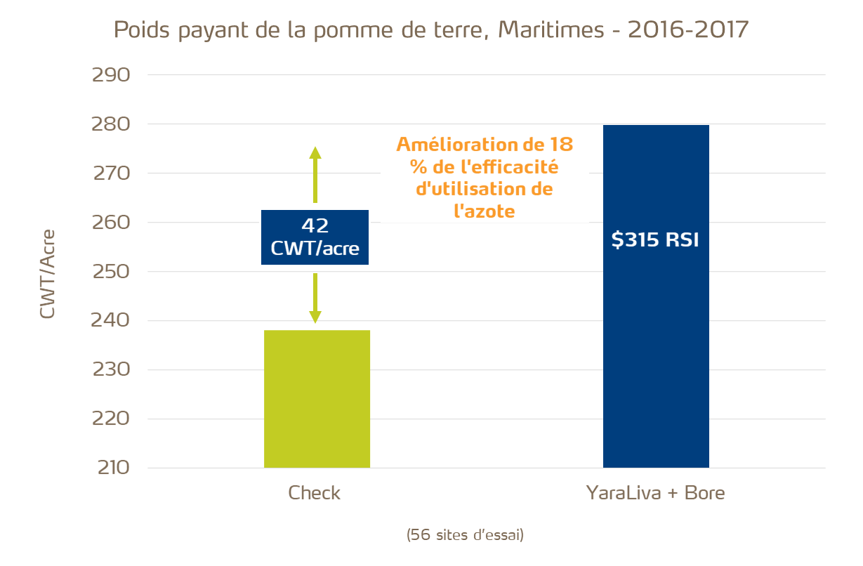 Augmentation de l’efficacité d’utilisation de l'azote et du rendement du capital investi avec le nitrate de calcium