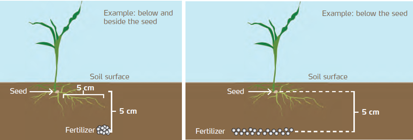 urea fertilizer application